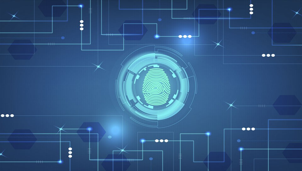 指纹传感器有哪几种类型